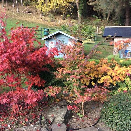Meifod Tan Y Graig B&B 외부 사진