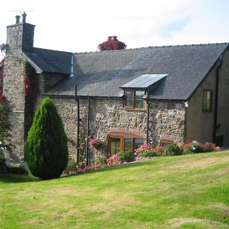 Meifod Tan Y Graig B&B 외부 사진