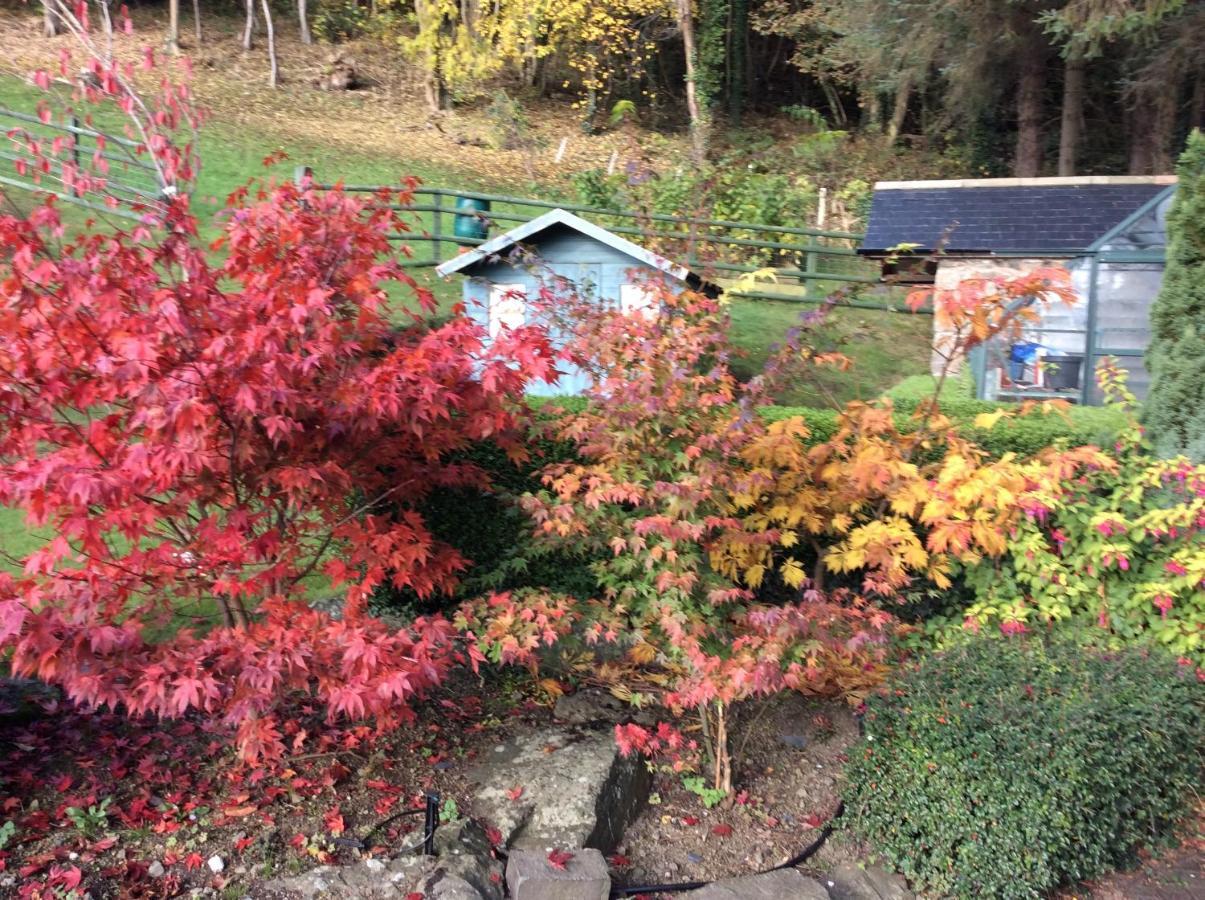 Meifod Tan Y Graig B&B 외부 사진